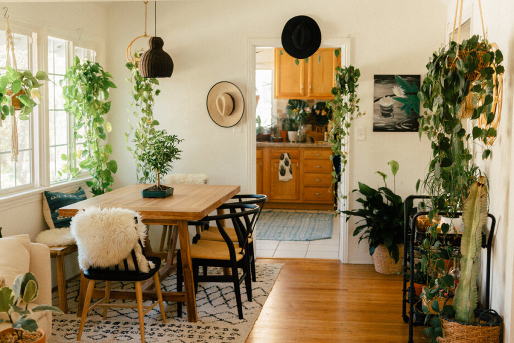 Creating An Indoor Oasis: Houseplants For Every Room